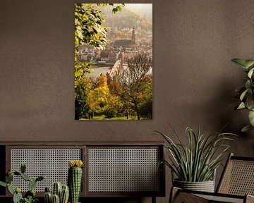 Heidelberg in the German state of Baden-Württemberg,  on the river Neckar by Sjoerd van der Wal Photography