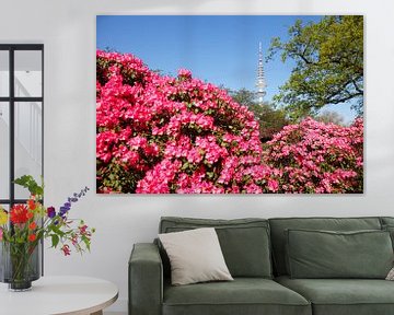 Japanse tuin met televisietoren en rododendronbloesem, Hamburg, Duitsland, Europa i