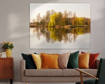 Hollands Licht van Qeimoy