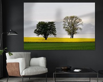 Two trees in a rape field by Ralf Lehmann