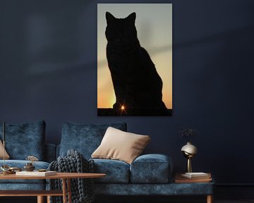 Kat tegen zonsondergang