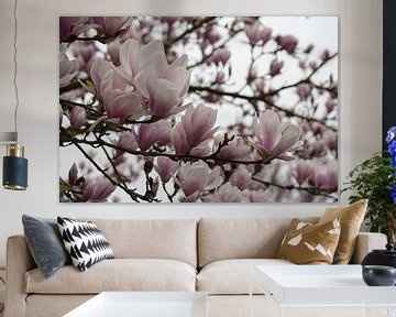 Bloeiende magnolia van Jim van Iterson