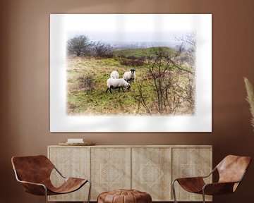 Sheep by Erik Reijnders