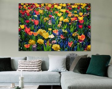 Kleurrijke bloemen van Yanuschka | Noordwijk Fine Art Fotografie