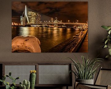 Die Erasmus-Brücke in Rotterdam von Michelle van den Boom