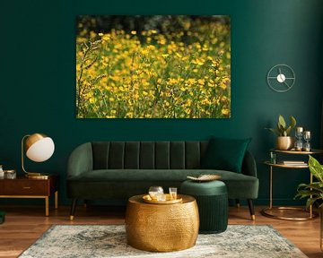 Yellow Dream by Jim van Iterson