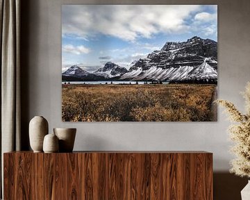 Bow Lake and mountains in Alberta, Canada by Daan Duvillier | Dsquared Photography