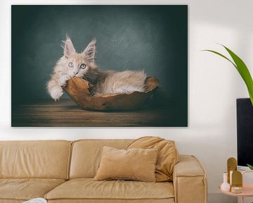 Creme maine coon Kätzchen Kunsttier-Portrait von mirka koot