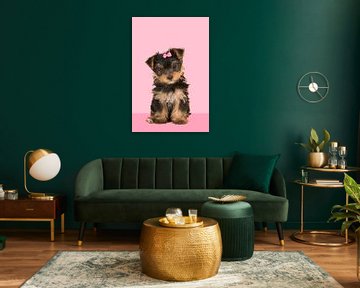 Yorkshire terrier pup in pink by Elles Rijsdijk