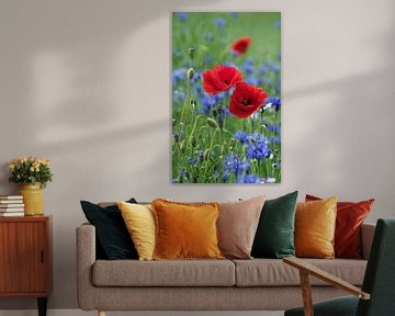 Kleur van de papaver van Tanja Riedel