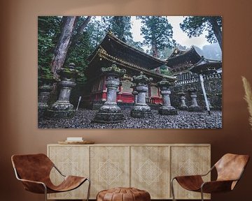 Het Tōshō-gū heiligdom in de stad Nikko (Japan). van Claudio Duarte