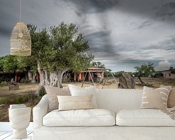 Olive tree by Lex Scholten