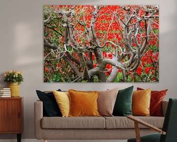 View through tulip field by beech hedge by Leo Lamboo