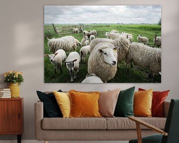 portrait of sheep van Umana Erikson