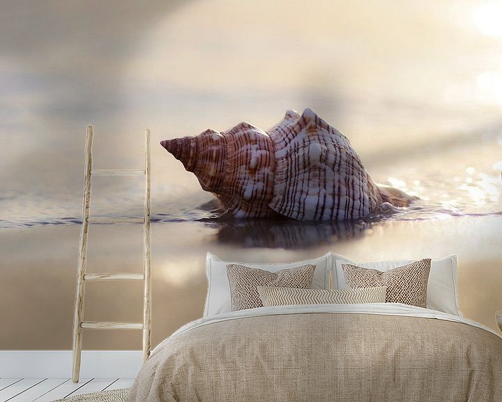 Beispiel fototapete: Träume am Meer große Muschel im Sand von Tanja Riedel
