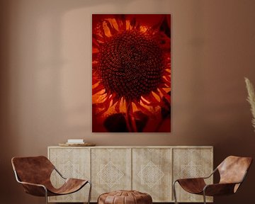 Sonnenblume von Anouschka Hendriks