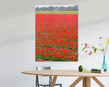 Tulip field with mill by Leo Lamboo