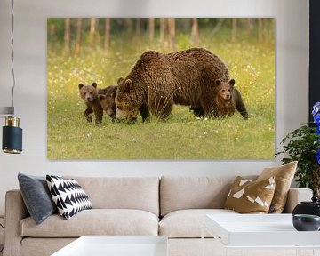 The Protégés "Brown Bear with Cubs"