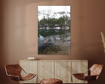 Reflections