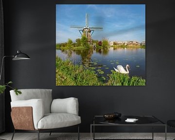 Poldermolen De Zijllaanmolen, Leiderdorp, , Süd-Holland, Niederlande von Rene van der Meer