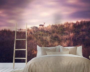 stag on the hill by mirka koot