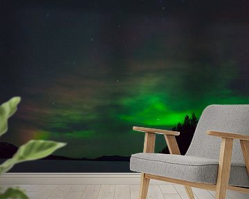 Noorderlicht in zweeds Lapland van Arnold van Rooij