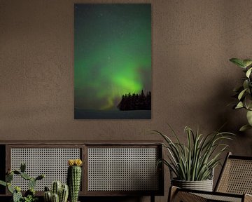 Northern lights in Swedish Lapland by Arnold van Rooij