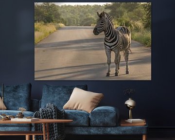 Zebra in the way by Marijke Arends-Meiring