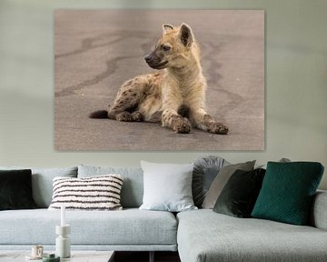 Jonge hyena houdt de wacht van Marijke Arends-Meiring