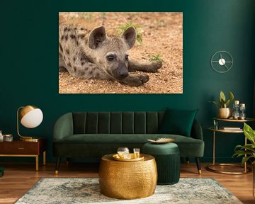 Nieuwschierig baby hyena van Marijke Arends-Meiring