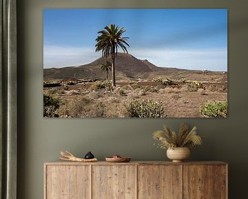 Landschaft von Lanzarote mit Palmen und Vulkankegel von Harrie Muis