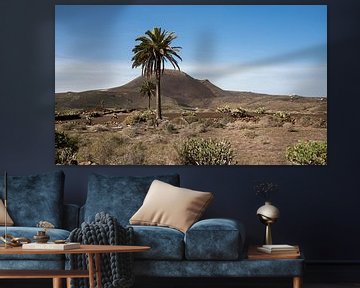 Paysage de Lanzarote avec palmier et cône volcanique