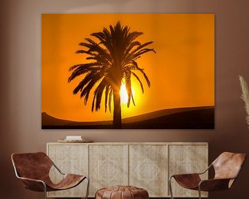 Palmboom en zonsondergang op Lanzarote, Canarische Eilanden, Spanje.