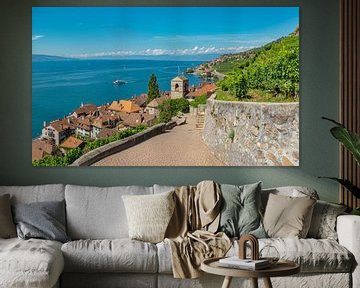 Weinberge am Genfer See, St-Saphorin, Waadt, Schweiz von Rene van der Meer
