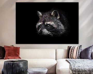 Cute fluffy little animal raccoon by Michael Semenov