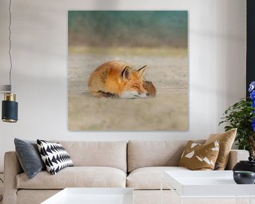 fox by Anna Stelloo