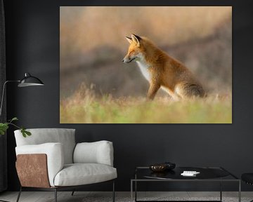 Fantastischer Fuchs von Anna Stelloo