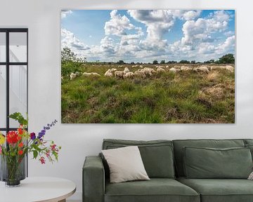 Sheep clouds