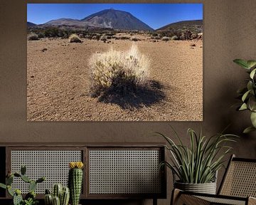 Pico del Teide sur Walter G. Allgöwer