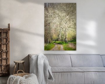 Chemin forestier avec des ables gris (peinture) sur Art by Jeronimo