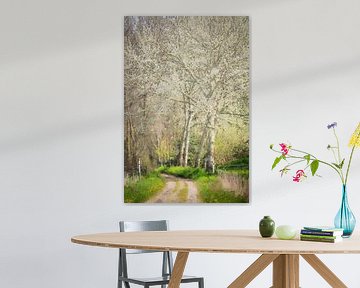 Waldweg mit grauen Kieselsteinen (Gemälde) von Art by Jeronimo