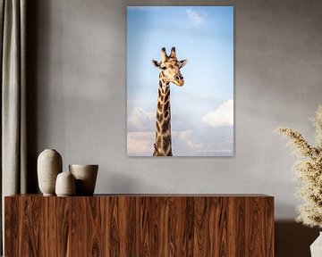 giraffe namibie chobe kleur van inge drenth