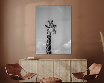 giraffe chobe namibie zwart wit van inge drenth