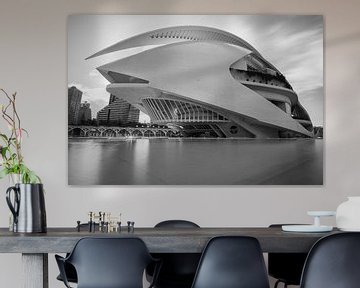 Calatrava Valencia Black & White sur Arthur Scheltes