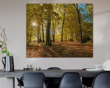 Boslaan in herfstkleuren op landgoed Vogelenzang, Vogelenzang, , Noord-Holland, Nederland van Rene van der Meer