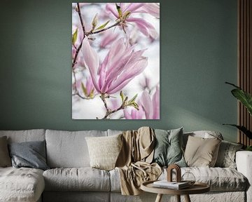 blossom of a richly flowering magnolia by Hanneke Luit