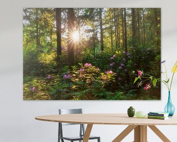 Forêt de rhododendrons sur Karla Leeftink