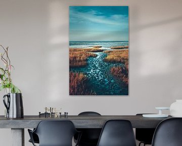 Mer des Wadden d'Allemagne du Nord près de Friedrichskoog sur Florian Kunde