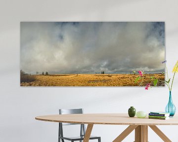 Panorama des Hautes Fagnes sur Lex Schulte