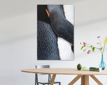 Sleeping King Penguin by Beschermingswerk voor aan uw muur